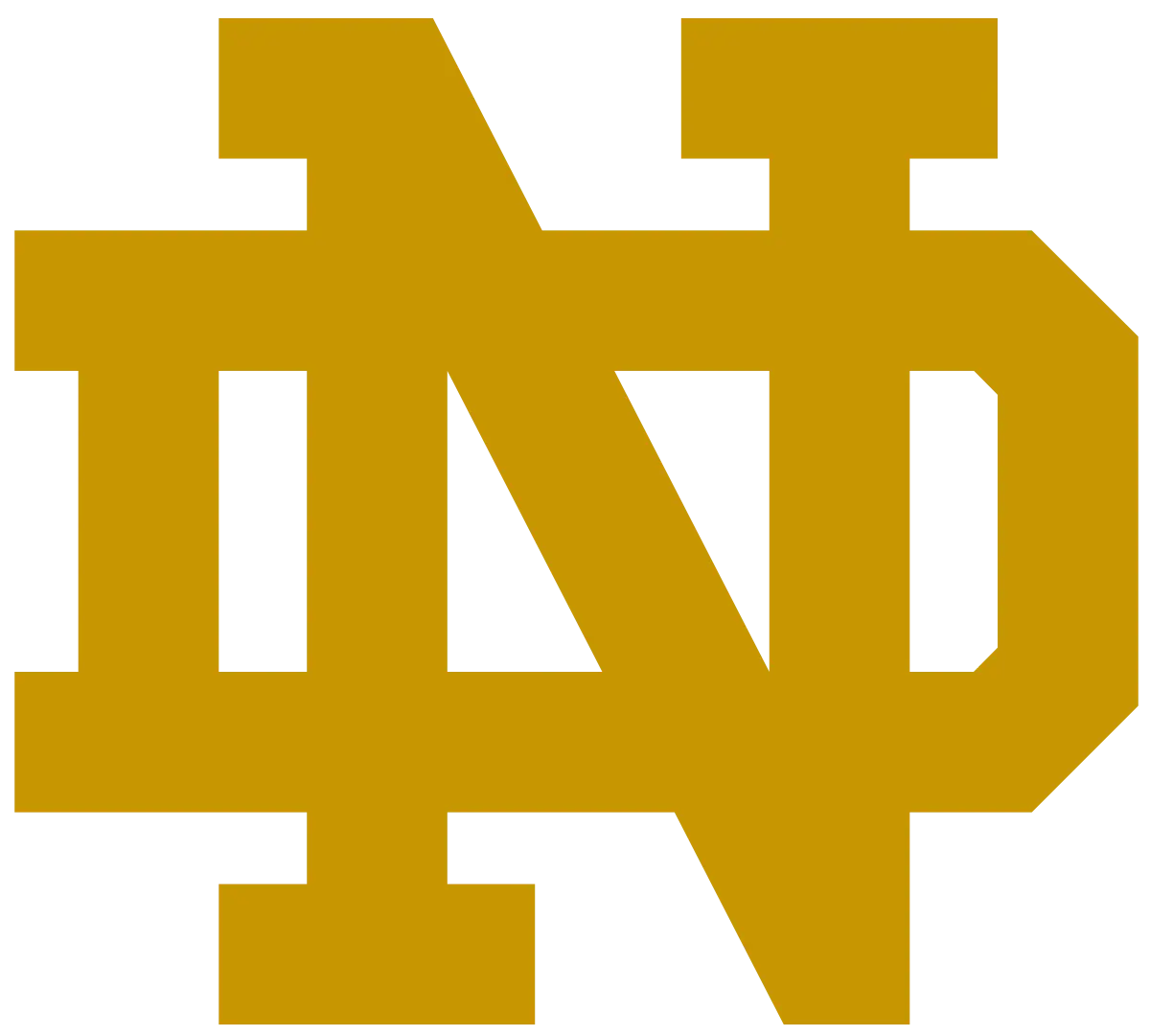 Notre Dame Fighting Irish football