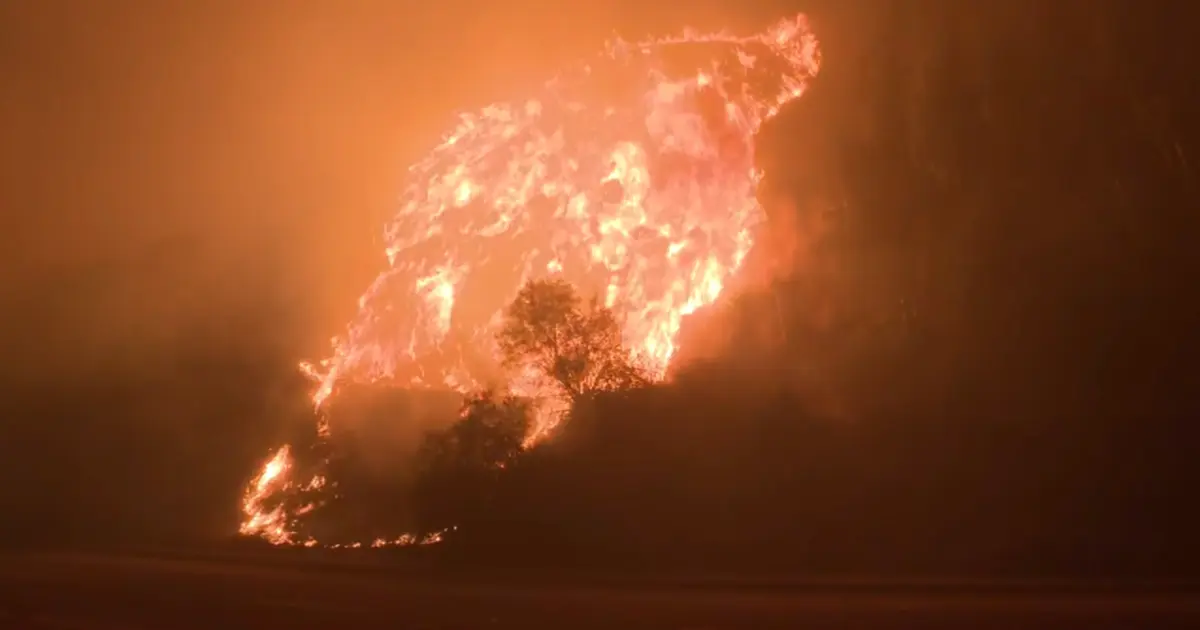 Eaton Canyon Wildfire: Deadly Blaze Engulfs Altadena Amidst Strong Winds