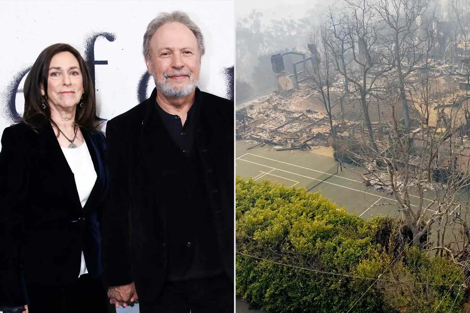 Billy Crystal and Wife Janice Lose Beloved Home of 46 Years in Devastating Palisades Wildfire